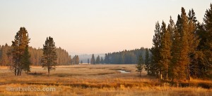 Willow Flats Willow Flats