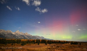 aurora aurora
