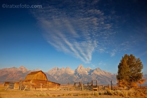 Barn Barn